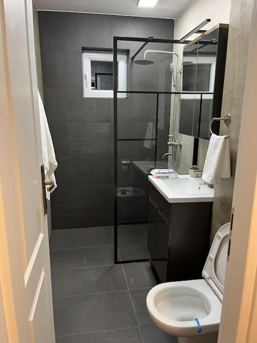 Apartament Suceava Exterior photo